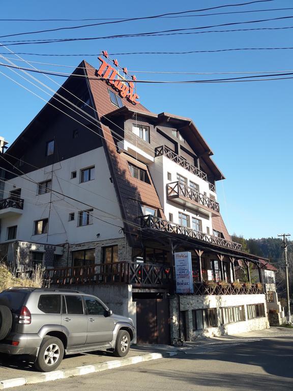 ホテル Magic Club Buşteni エクステリア 写真