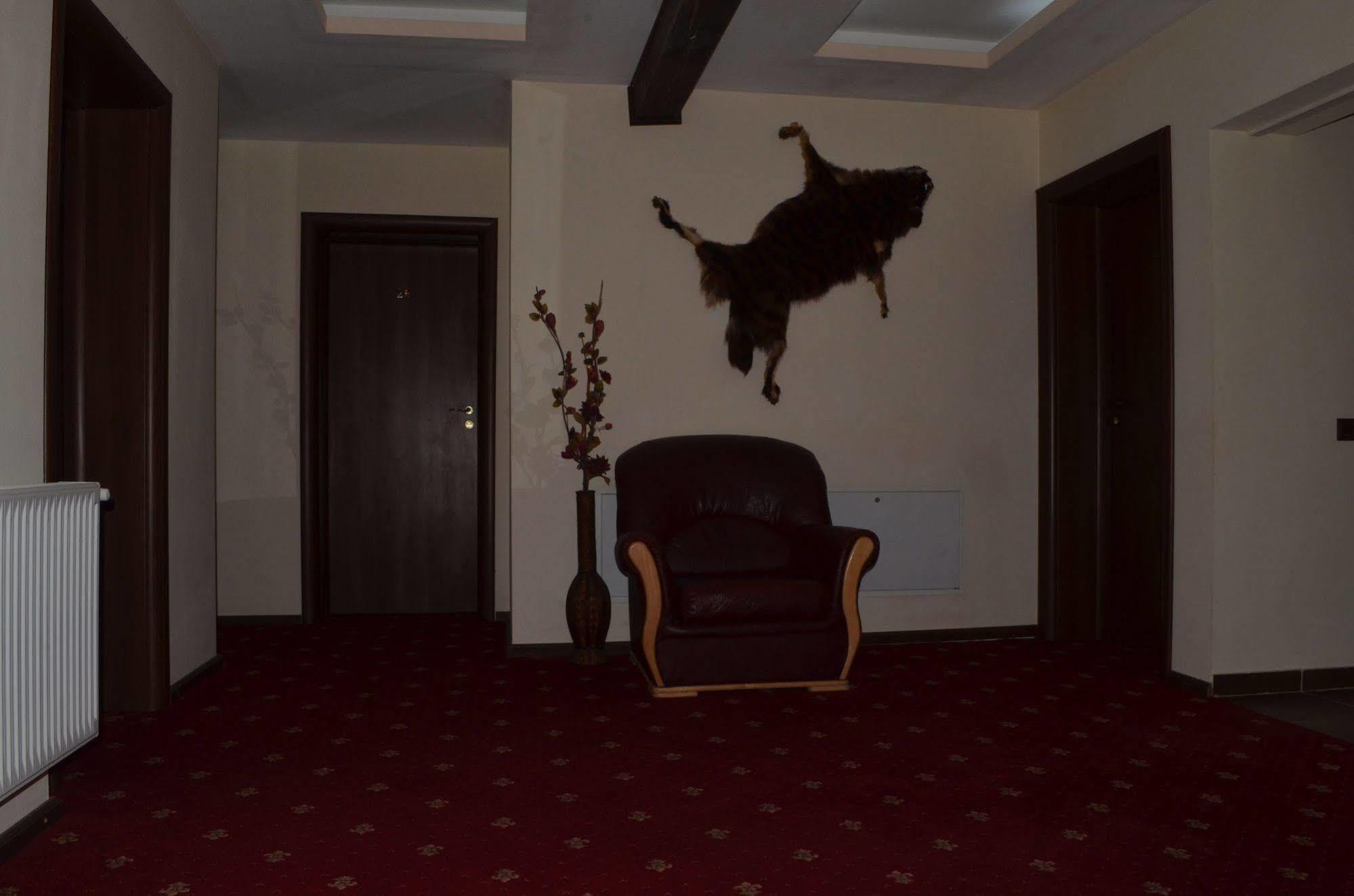 ホテル Magic Club Buşteni エクステリア 写真